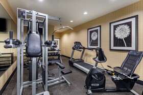Best Western Plus DFW Airport West Euless