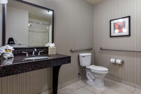 Best Western Plus DFW Airport West Euless