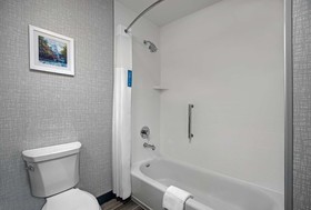 Hampton Inn & Suites Farmers Branch Dallas