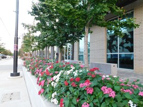 Dream Suites at River East