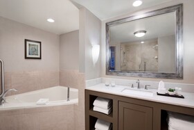 Embassy Suites Fort Worth - Downtown