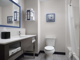 Hampton Inn and Suites Dallas-DFW Airport West-Hurst
