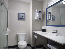 Hampton Inn and Suites Dallas-DFW Airport West-Hurst