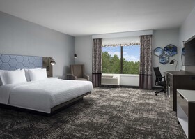 Hampton Inn and Suites Dallas-DFW Airport West-Hurst