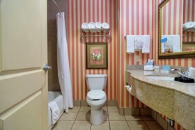 Hampton Inn and Suites Dallas-DFW Airport West-Hurst