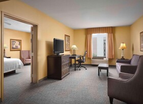 Hampton Inn and Suites Dallas-DFW Airport West-Hurst