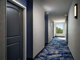 Hampton Inn and Suites Dallas-DFW Airport West-Hurst