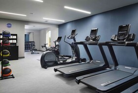 Hampton Inn and Suites Dallas-DFW Airport West-Hurst