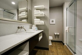 Hampton Inn & Suites Dallas Ft Worth Airport South