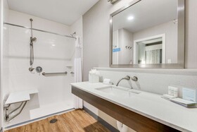 Hampton Inn & Suites Dallas Ft Worth Airport South