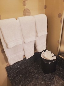 Hilton Garden Inn Fort Worth Alliance Airport