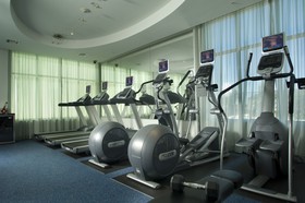Holiday Inn Dallas-Fort Worth Airport South
