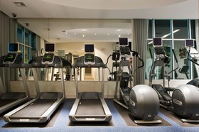 Holiday Inn Dallas-Fort Worth Airport South