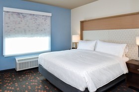 Holiday Inn Fort Worth - Alliance