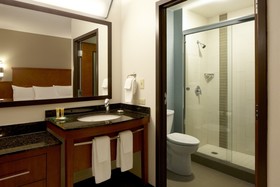 Hyatt Place Fort Worth/cityview