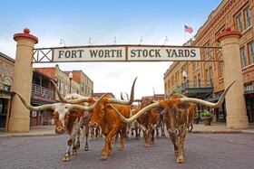 Radisson Fort Worth North - Fossil Creek