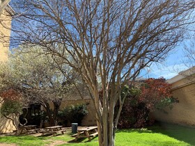 Radisson Fort Worth North - Fossil Creek