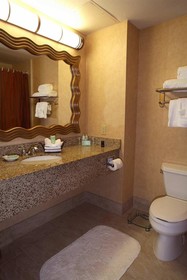 Embassy Suites Dallas Frisco Convention & Spa