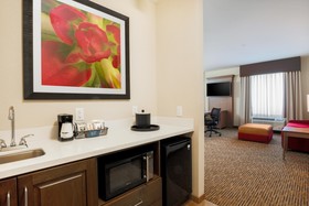Hampton Inn & Suites Dallas/Frisco North-Fieldhouse USA