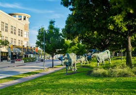 Sheraton Stonebriar