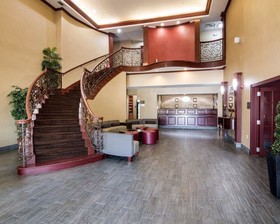 Comfort Suites Gainesville