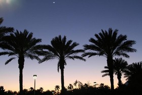Moody Gardens