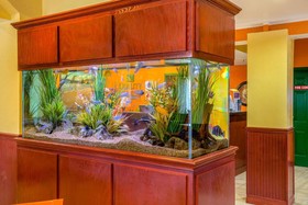 Quality Inn & Suites Beachfront