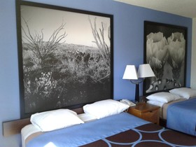 Super 8 by Wyndham Garland/Rowlett/East Dallas area