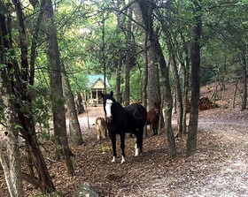 Country Woods Inn