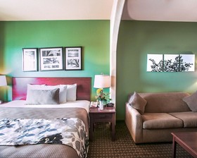 Sleep Inn & Suites Gonzales