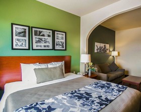 Sleep Inn & Suites Gonzales