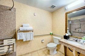 Holiday Inn Express Hotel & Suites Granbury