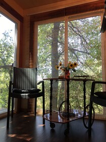Grandview Treetops