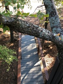 Grandview Treetops
