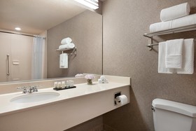 Embassy Suites by Hilton Grapevine DFW Airport North