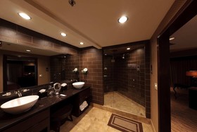 Embassy Suites by Hilton Grapevine DFW Airport North