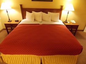 Best Western Executive Inn