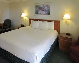 Quality Inn Harlingen