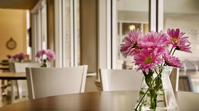Best Western Plus Downtown Inn & Suites