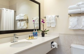 Best Western Plus Downtown Inn & Suites