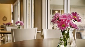 Best Western Plus Downtown Inn & Suites