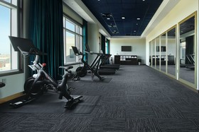 Blossom Hotel Houston