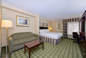 Comfort Inn Southwest Fwy at Westpark