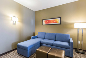 Comfort Suites Near Sam Houston Race Park