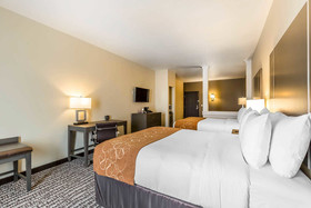 Comfort Suites Near Sam Houston Race Park