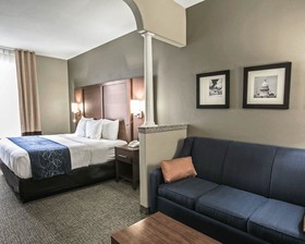 Comfort Suites Willowbrook