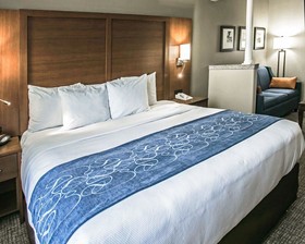 Comfort Suites Willowbrook