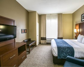 Comfort Suites Willowbrook
