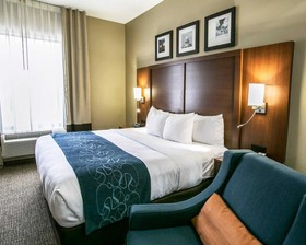 Comfort Suites Willowbrook