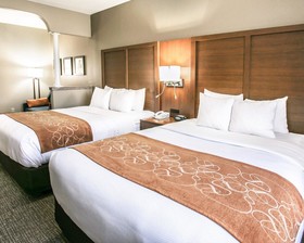 Comfort Suites Willowbrook